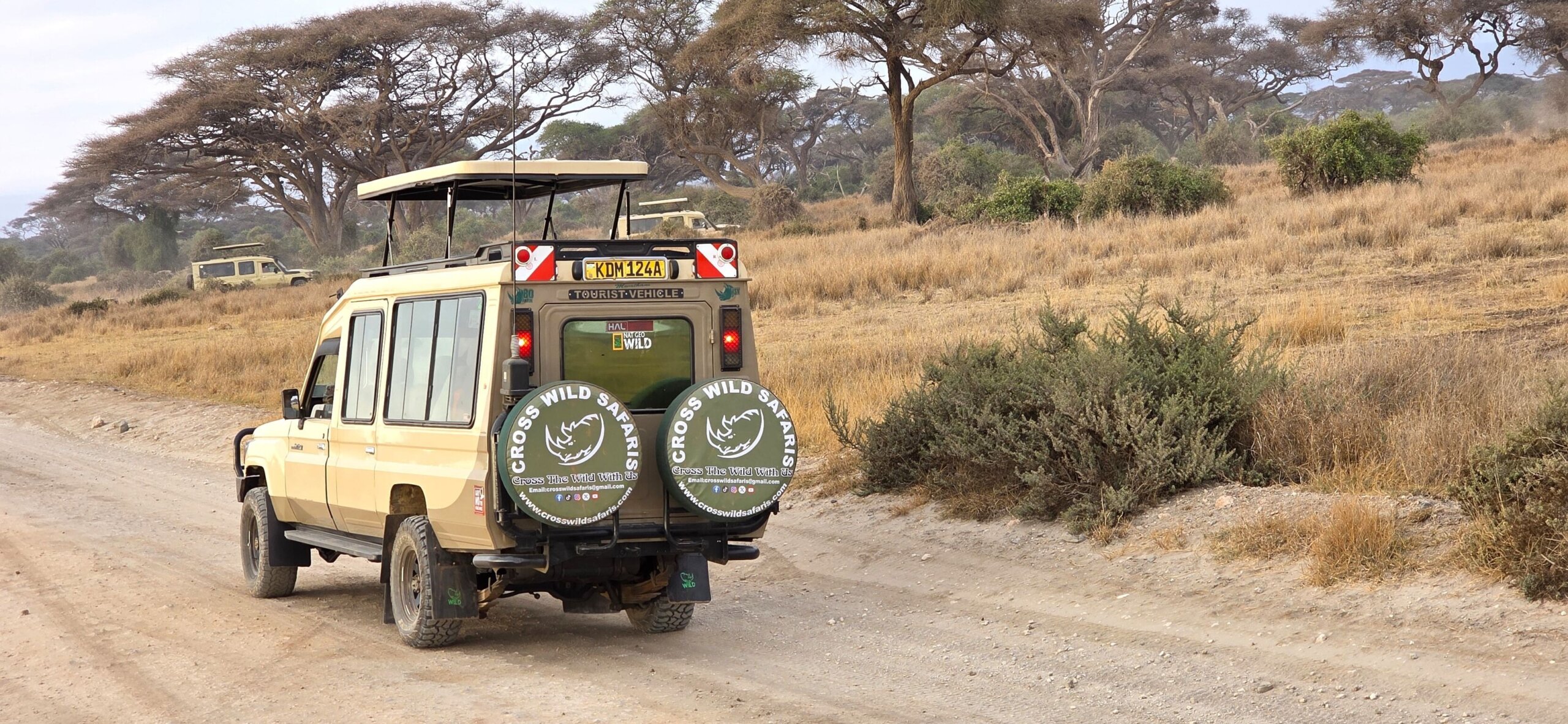 game drive in Amboseli national park with cross wild safaris. safari safety