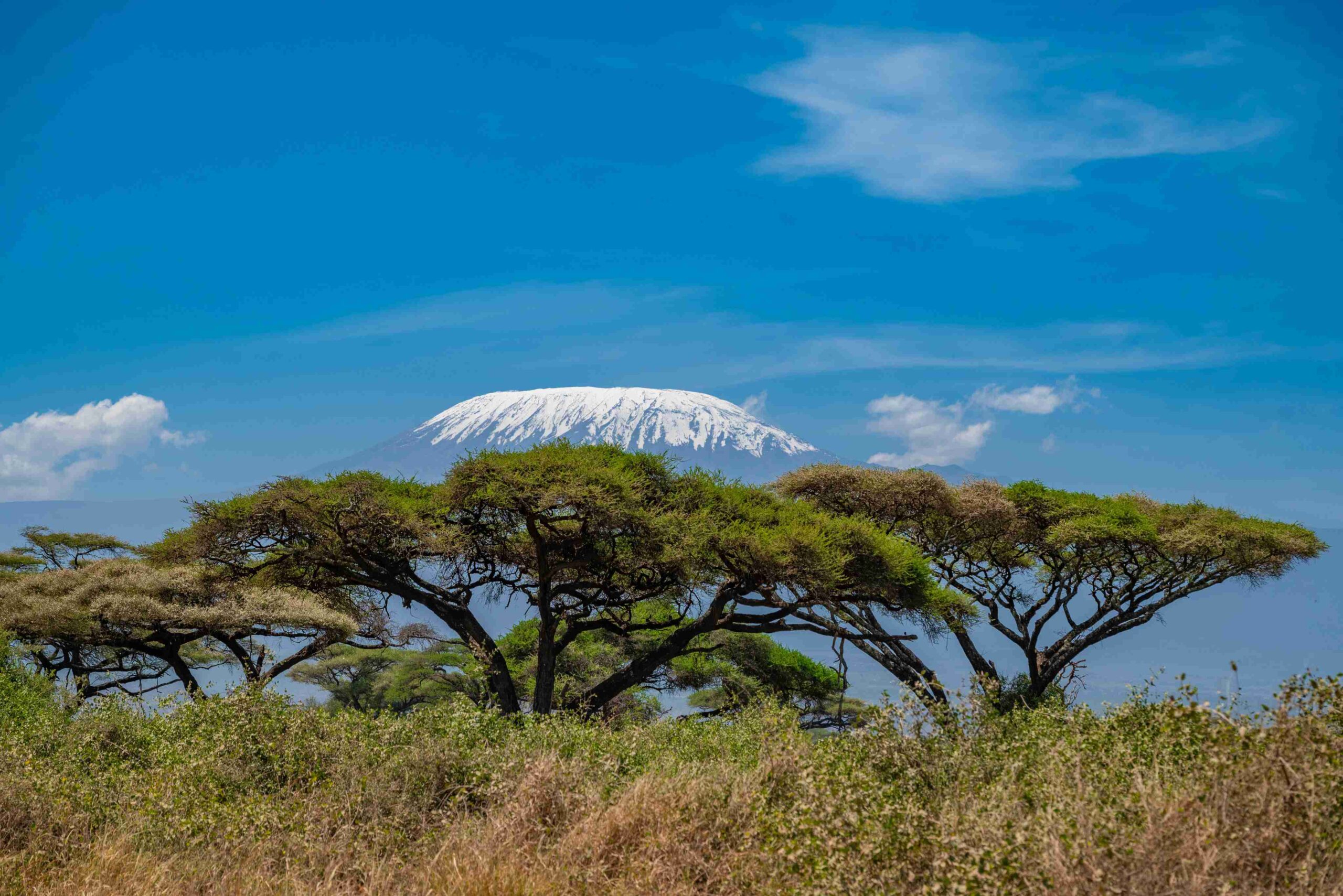 The view of snowcapped Mount Kilimanjaro from Amboseli National Park on a Safari