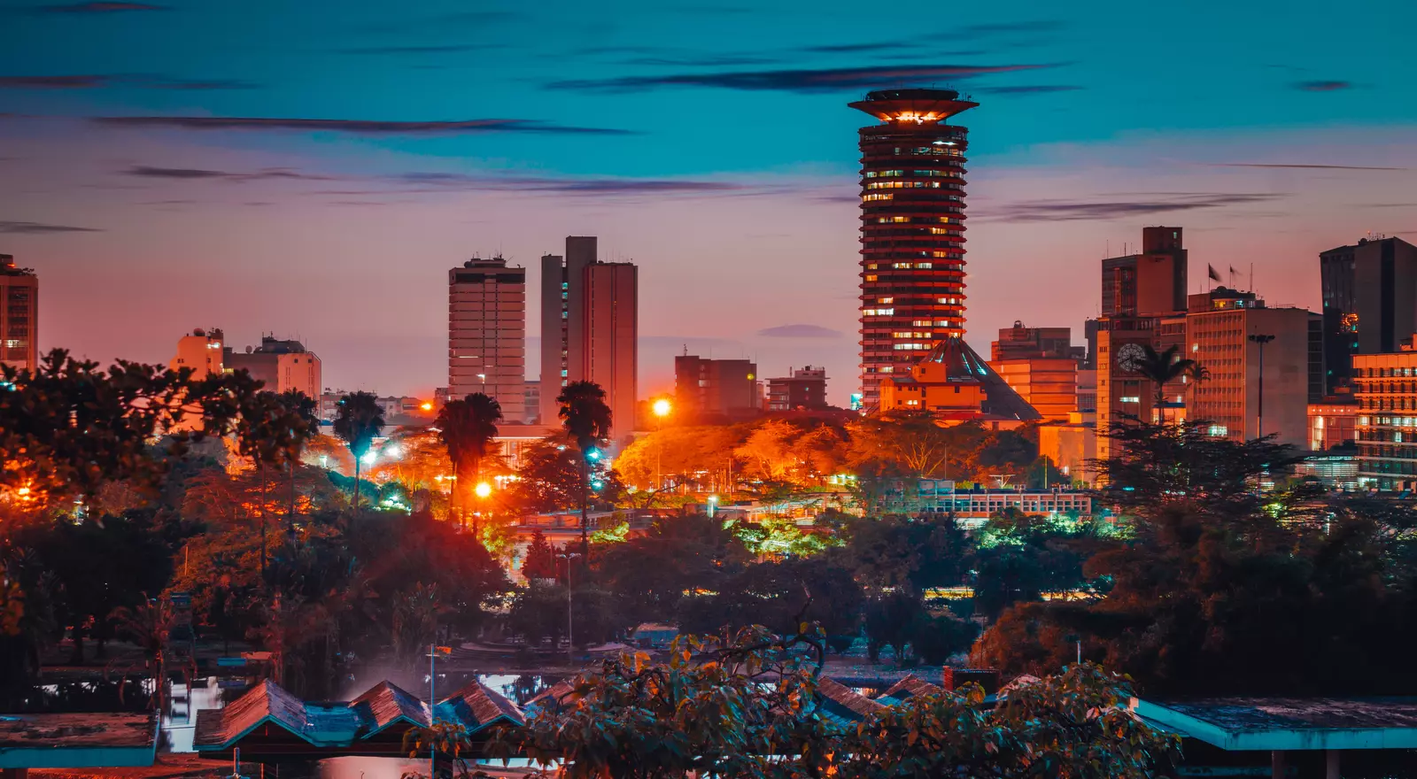 Nairobi city tour; Nairobi park,david shedrik