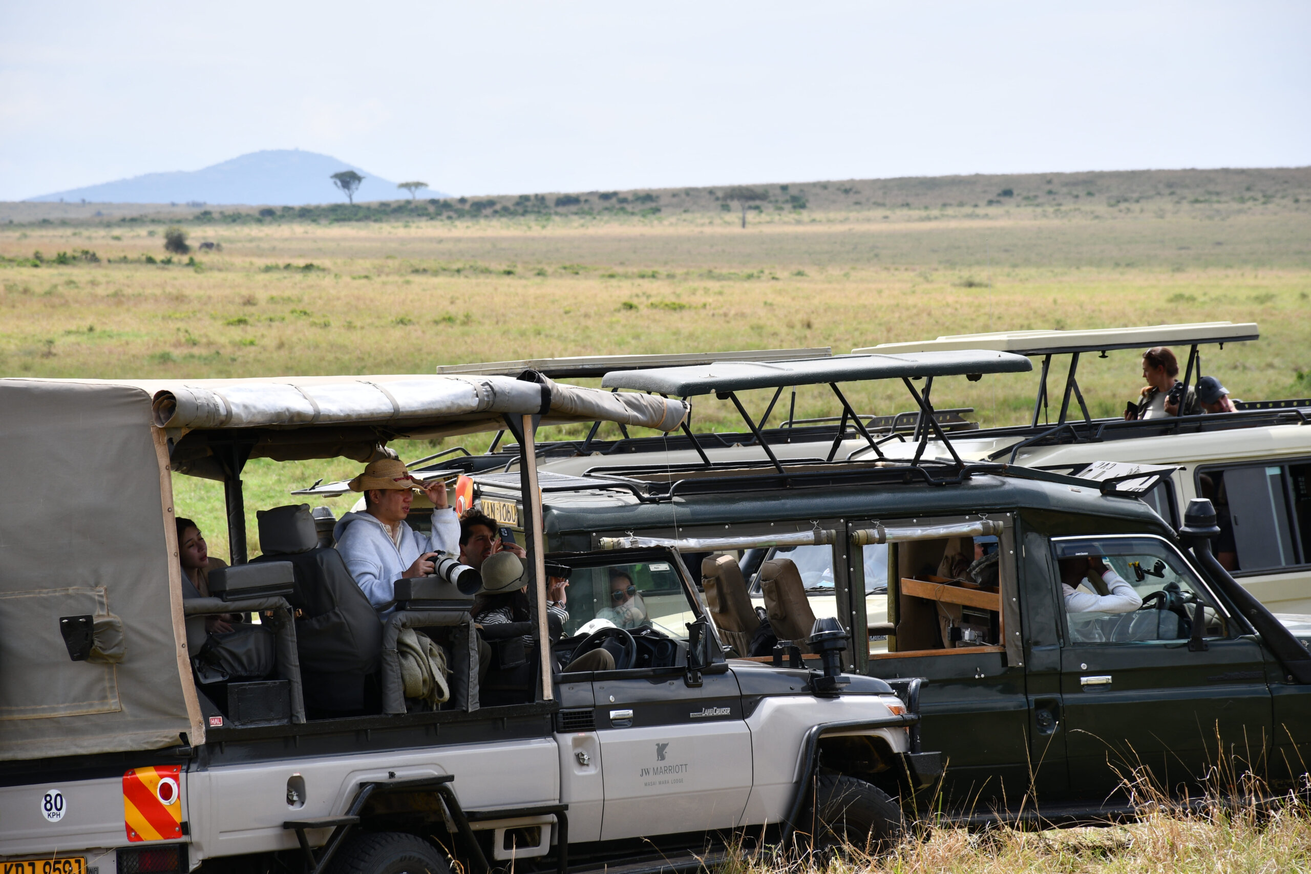 Photography safaris at Masai Mara National Reserve with Cross Wild safaris