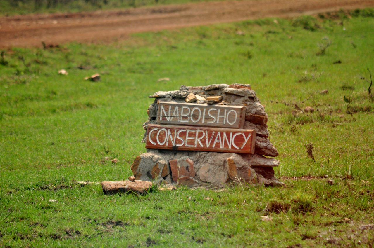 Naboisho-conservancy-with-cross-wild-safaris