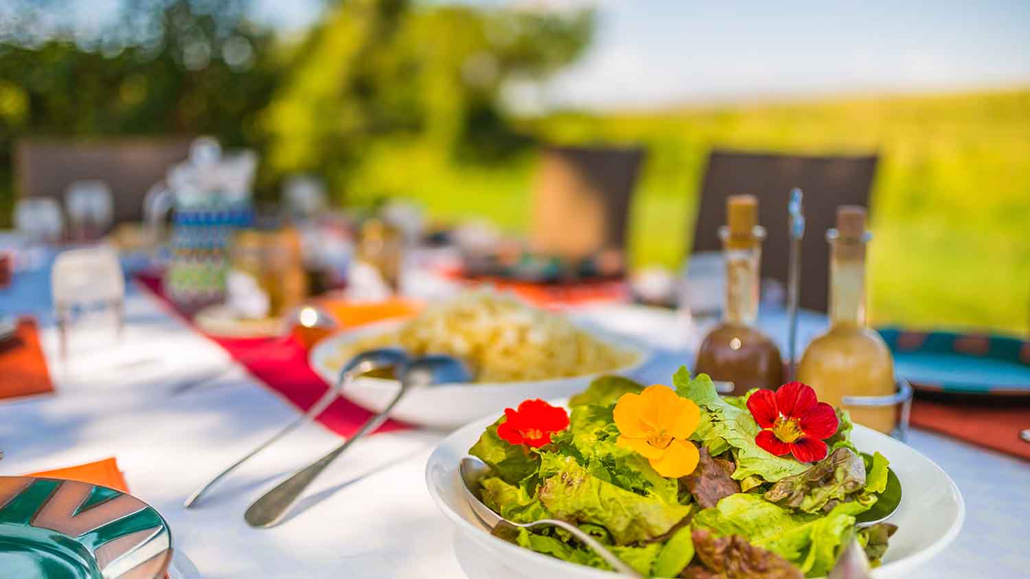 honeymoon destinations in Kenya with cross wild safaris 