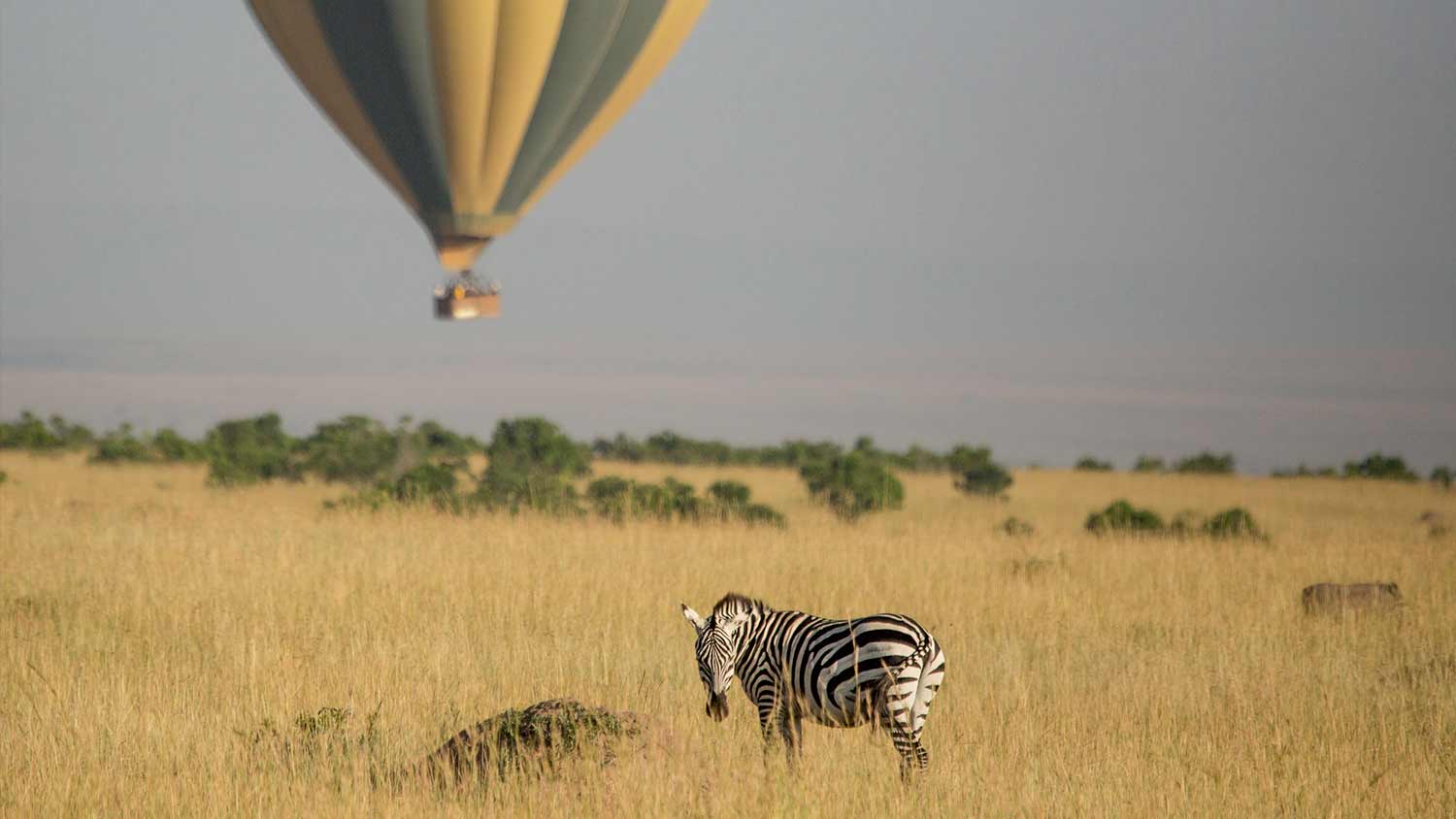 hot air balloon safaris in Amboseli national park in Kenya with cross wild safaris