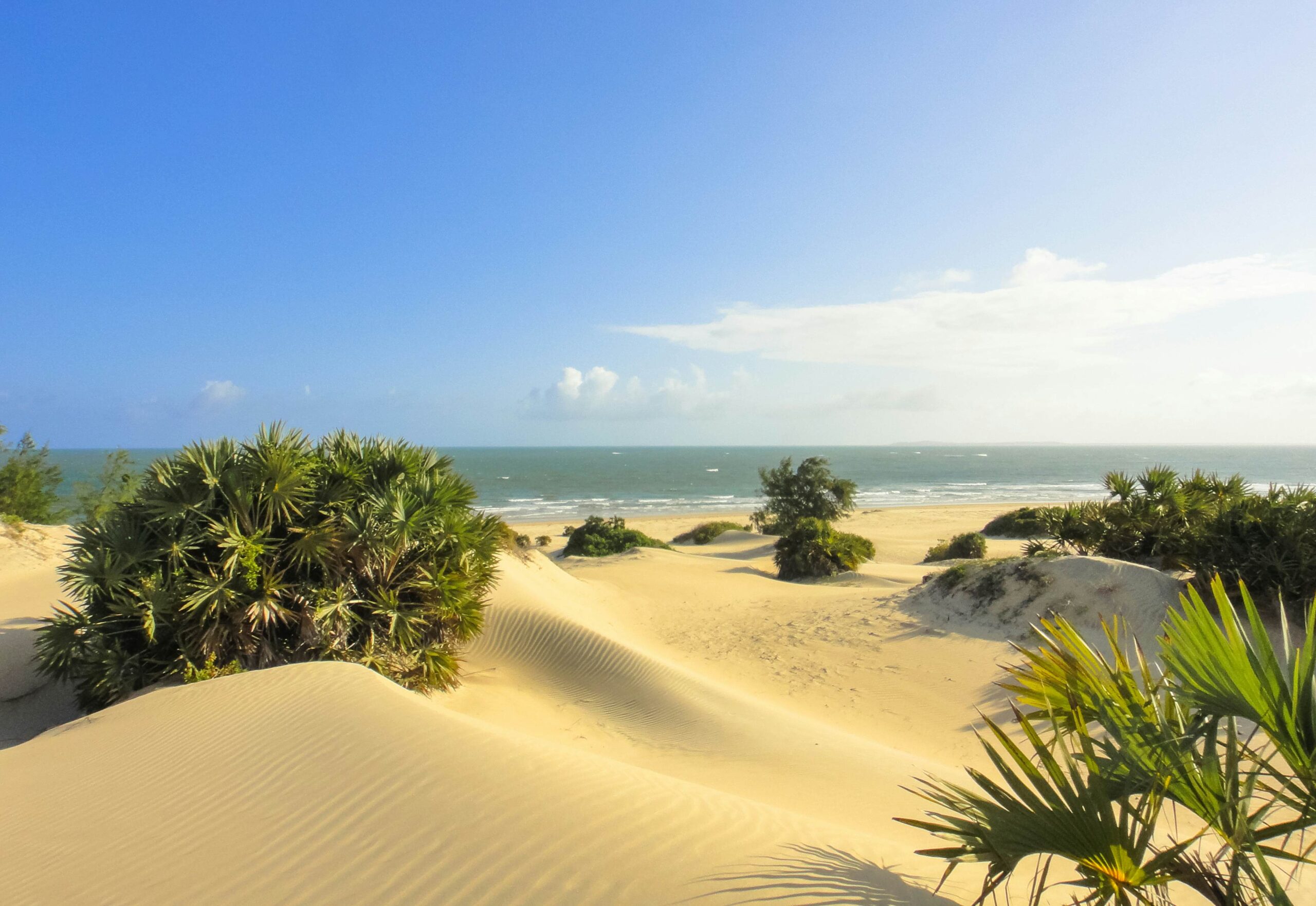 shela beach in lamu