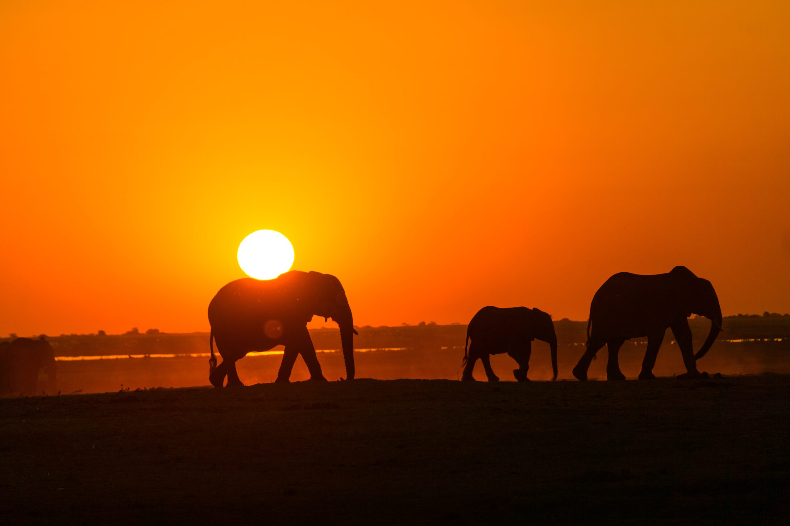 Kenya safari guide 2025