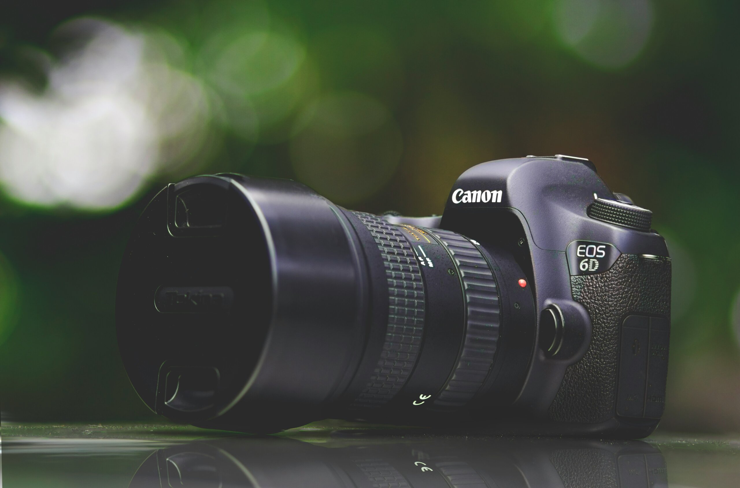 photographing Masai Mara