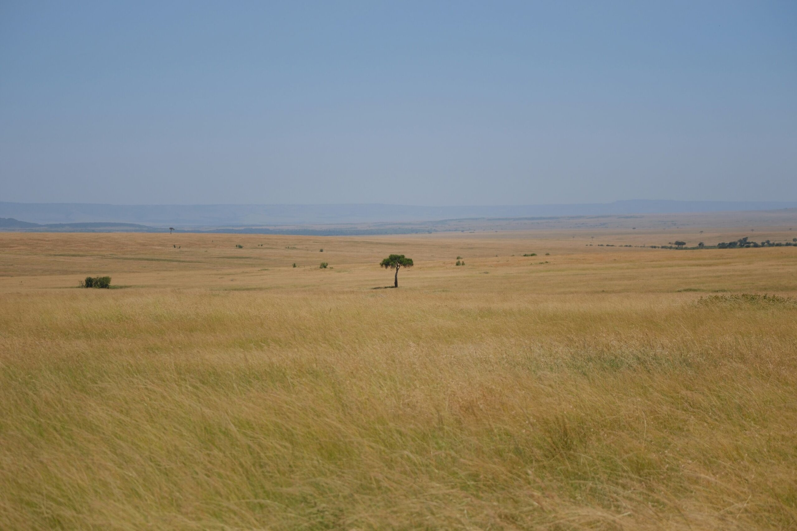 birds eye view of Masai Mara on a flying safari with cross wild safaris