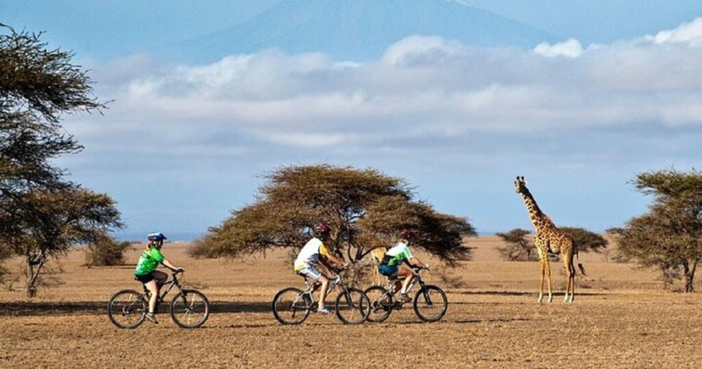 giraffe in ol donyo sabuk