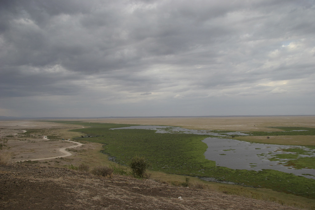Enkongu swamp in Amboseli