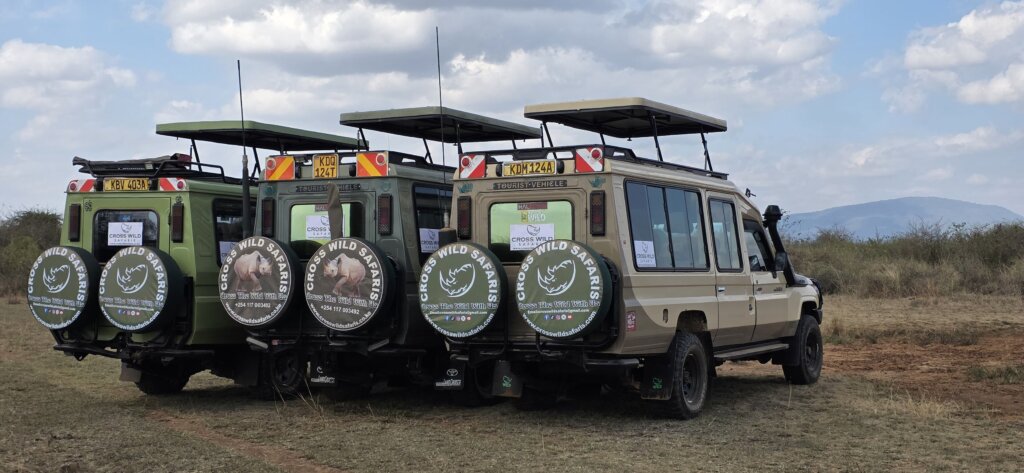cross wild safaris can give budget safaris for Ol Donyo Sabuk