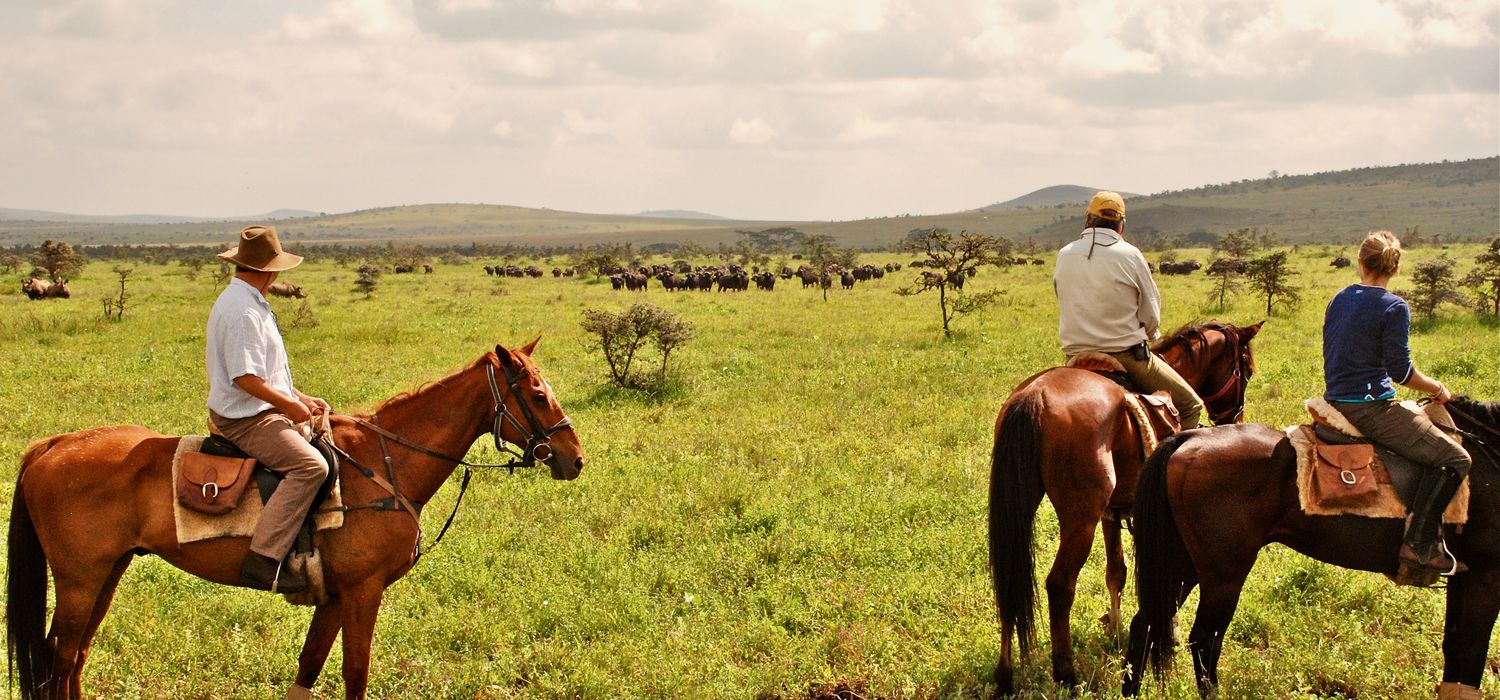 Horseback safari riders approaching a giraffe in Borana