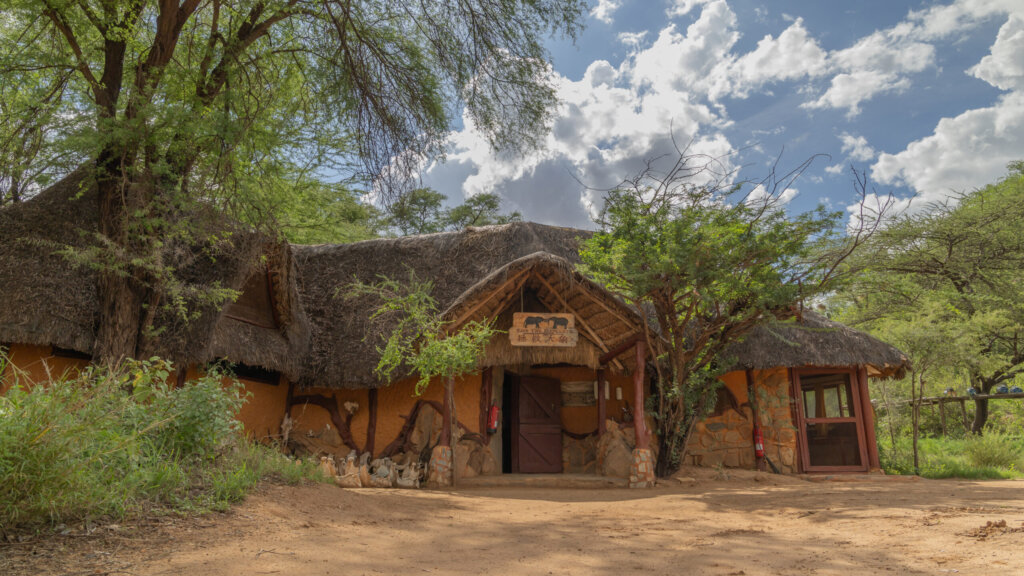 save the elephants samburu