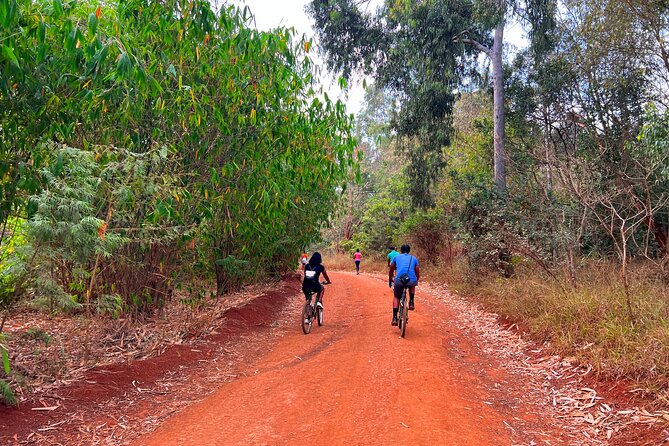 Cyclist riding along a trail in Karura Forest, Nairobi