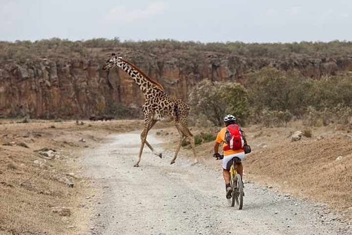Cyclists riding through Hell’s Gate National Park near Lake Naivasha