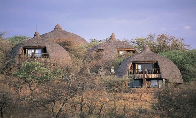 Mid-range lodge in Serengeti National Park with scenic views of the plains