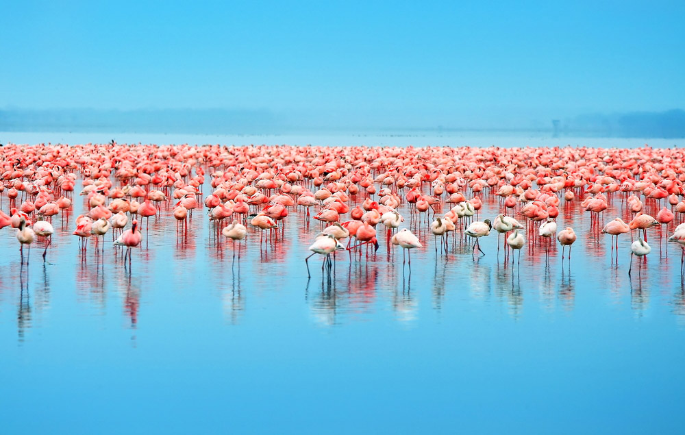Lake Nakuru National Park