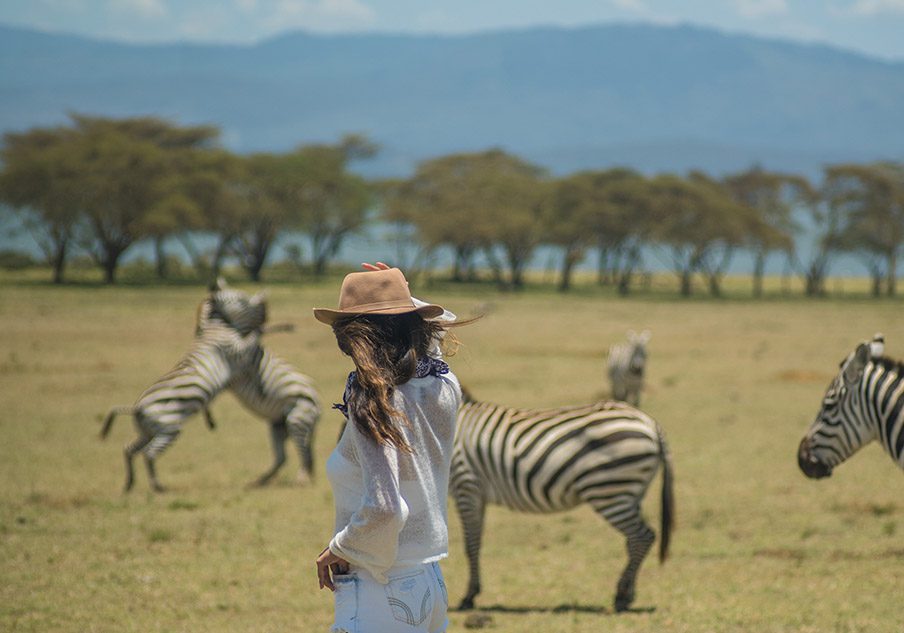Tourists walking among giraffes in Lake Naivasha
