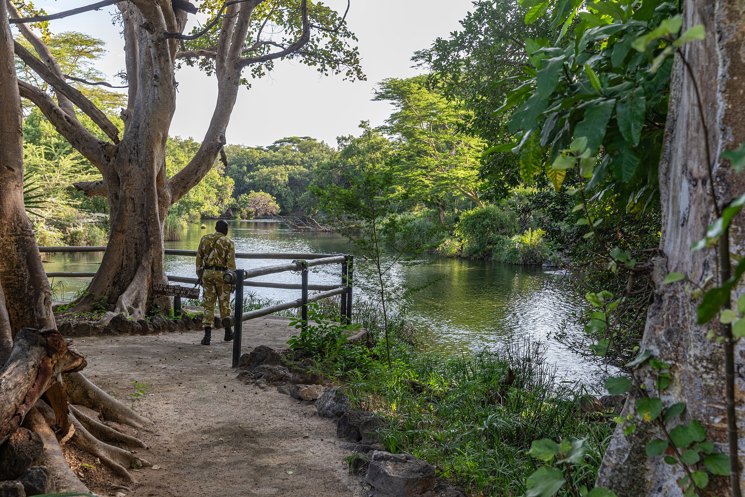 Bush and beach safari with cross wild at mzima springs in Tsavo west national park
