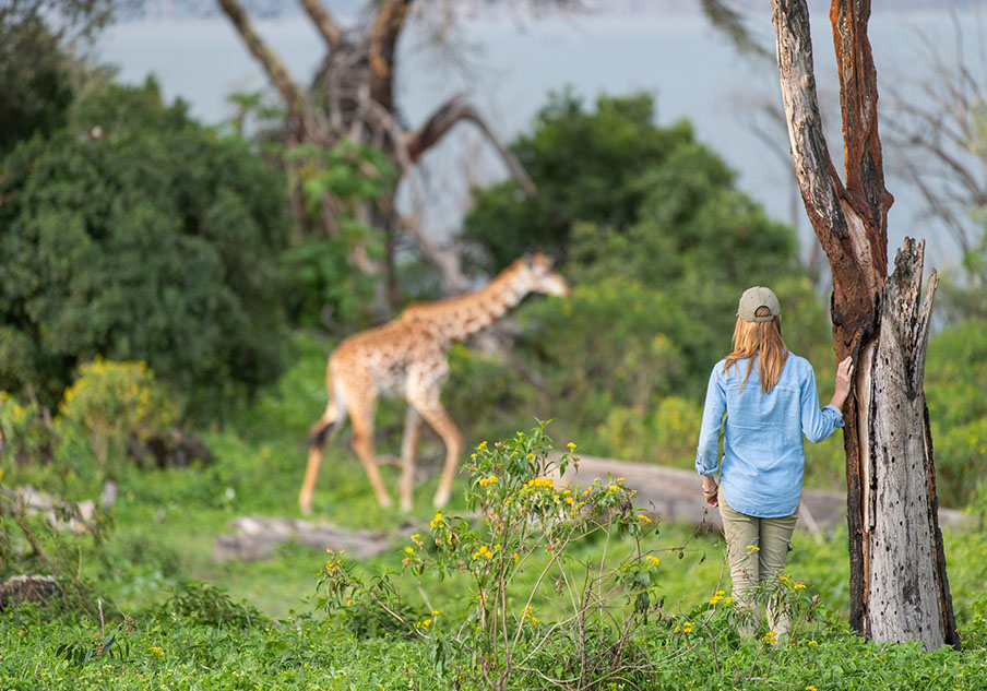 walking at the sanctuary safari among the things to do in Lake Naivasha