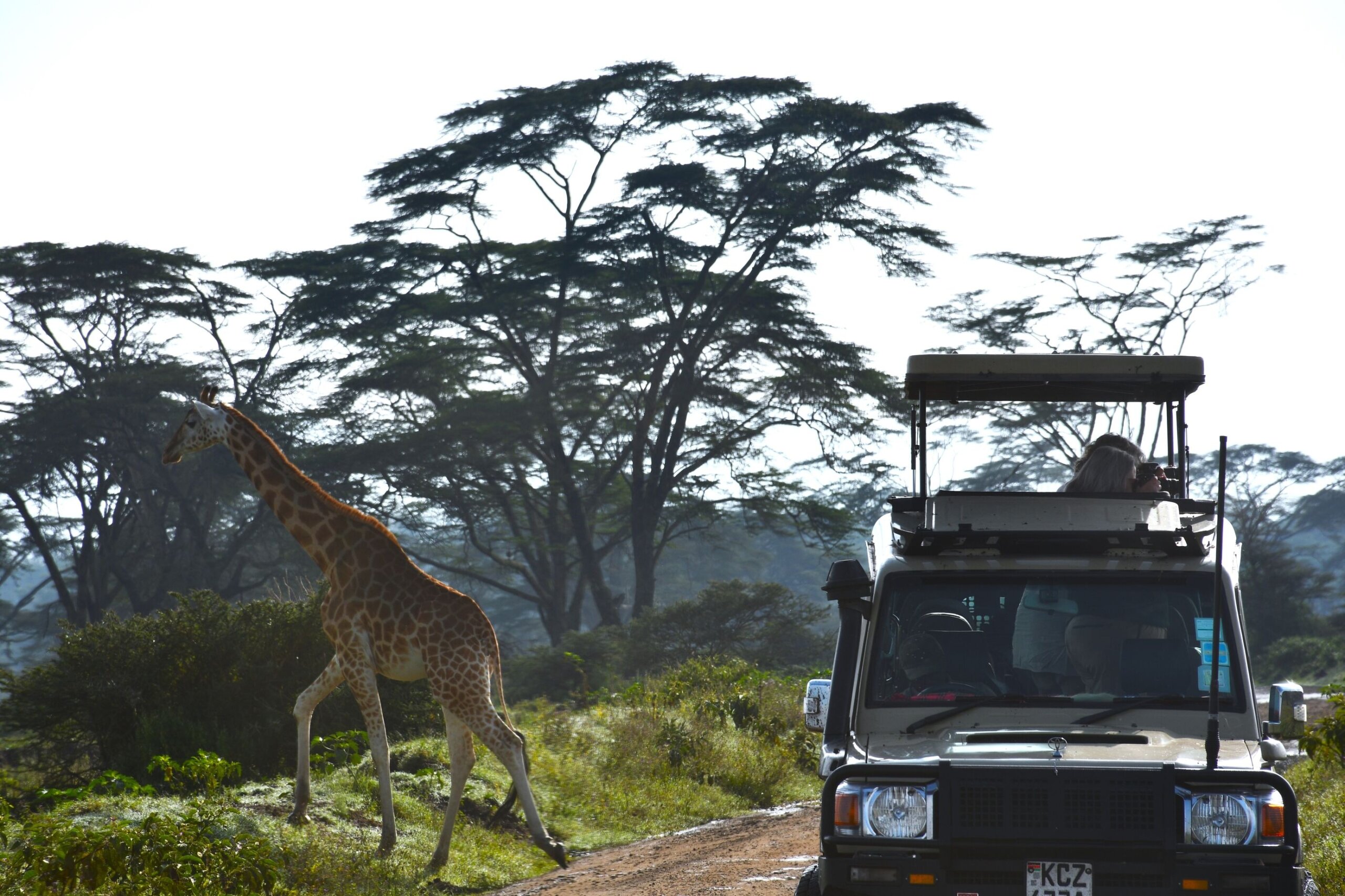 visitors enjoying lake Nakuru
