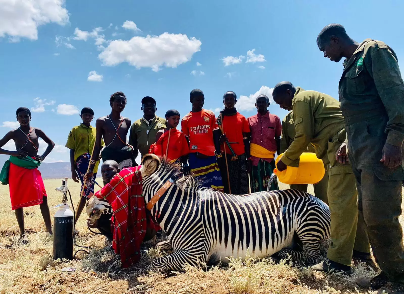 grevys trust in northern Kenya