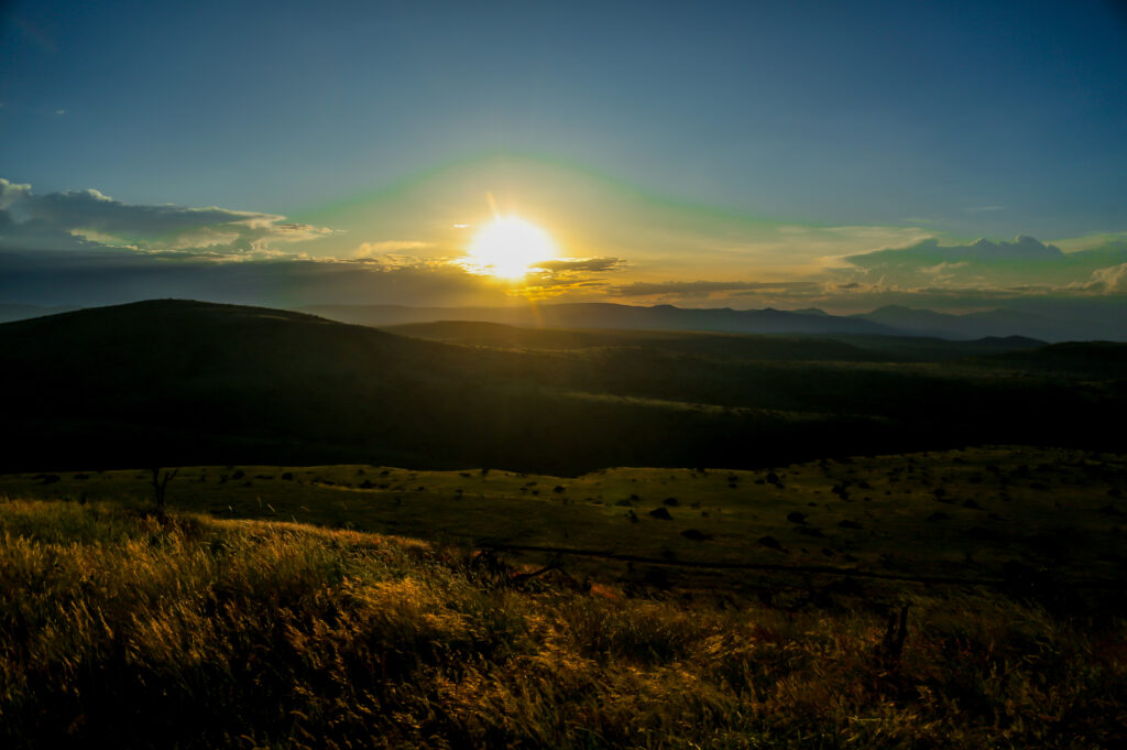 Golden sunset over Borana Conservancy during the dry season