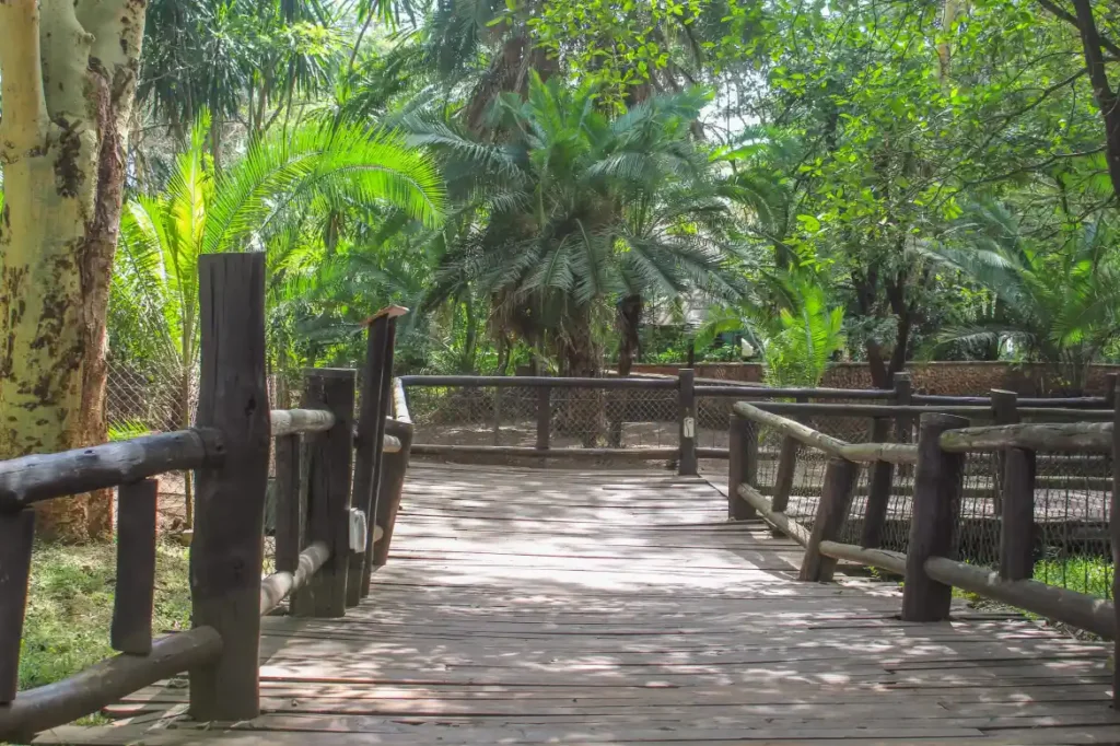 Nairobi Safari Walk, family activities Nairobi National Park, educational wildlife Nairobi