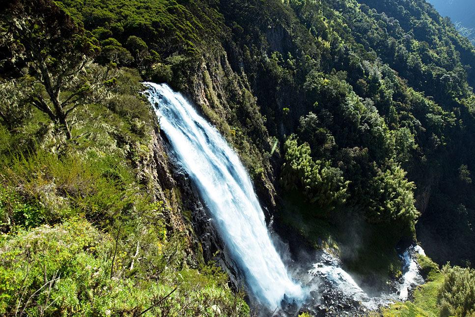 Misty bamboo forests in Aberdare national park