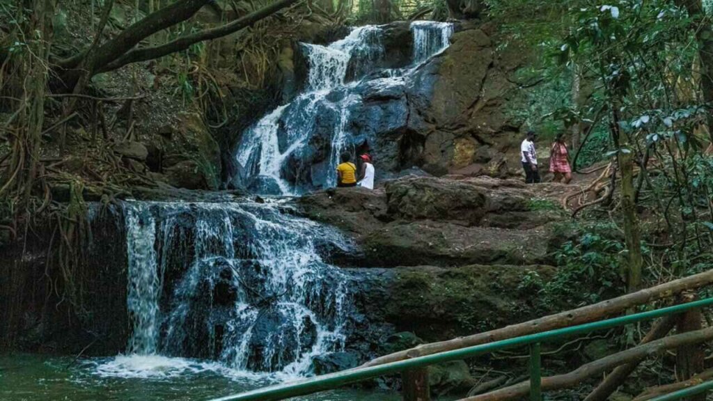 waterfall flowing through Karura Forest, Nairobi