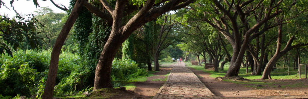 Visitors walking along nature trail at Kisumu Impala Sanctuary