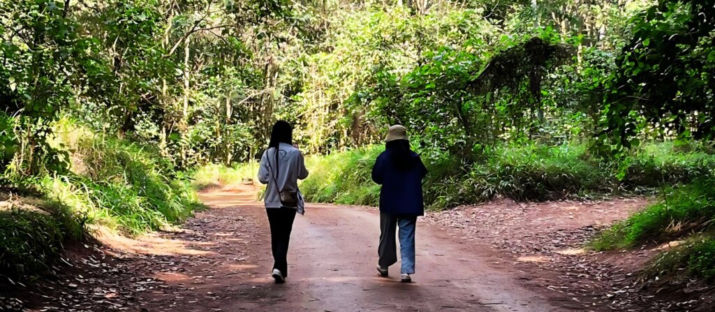 Hiker walking along a trail in Karura Forest, Nairobi