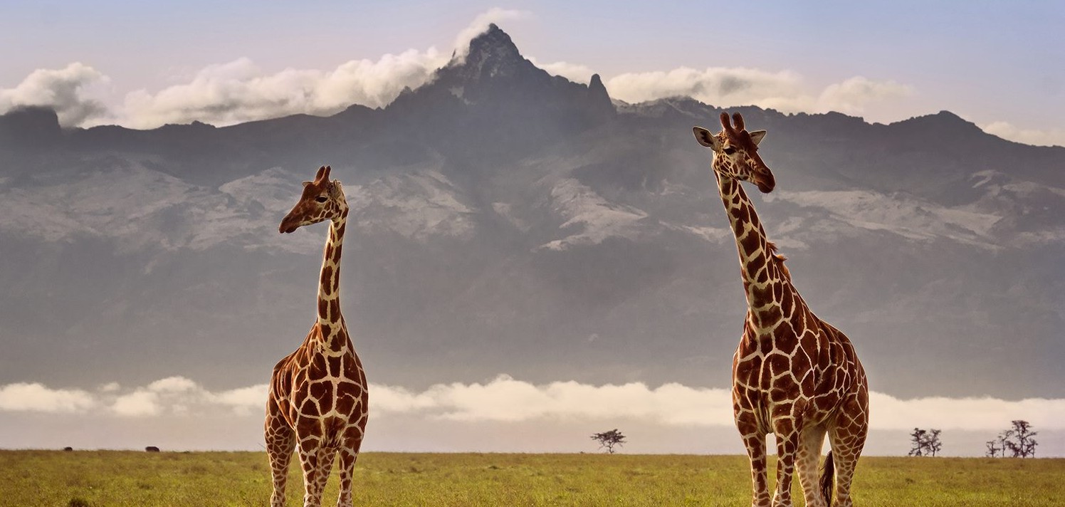 mount Kenya safari with cross wild safaris
