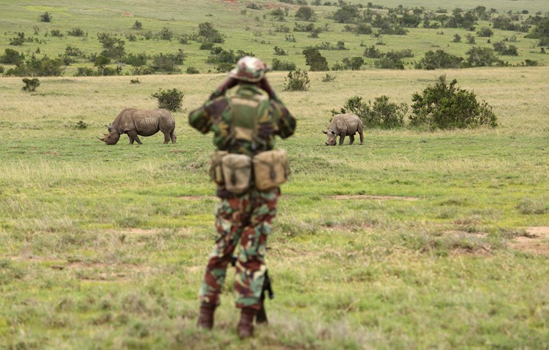Rangers tracking rhinos on foot in Borana Conservancy