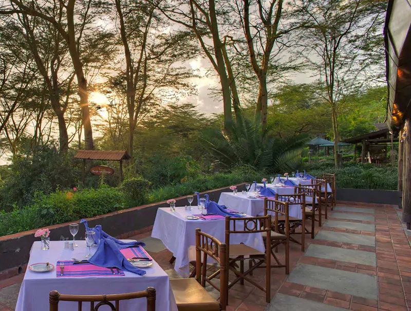 eco friendly lodges in mount kenya with cross wild safaris