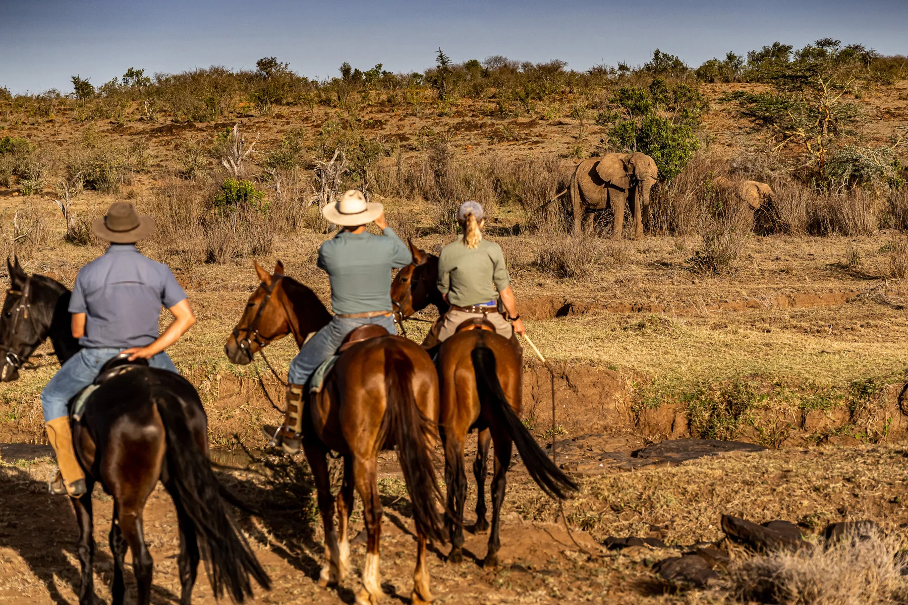 horse riding in Laikipia