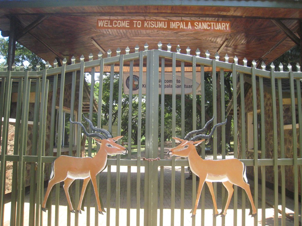KISUMU IMPALA SANCTUARY WITH CROSS WILD SAFARIS
