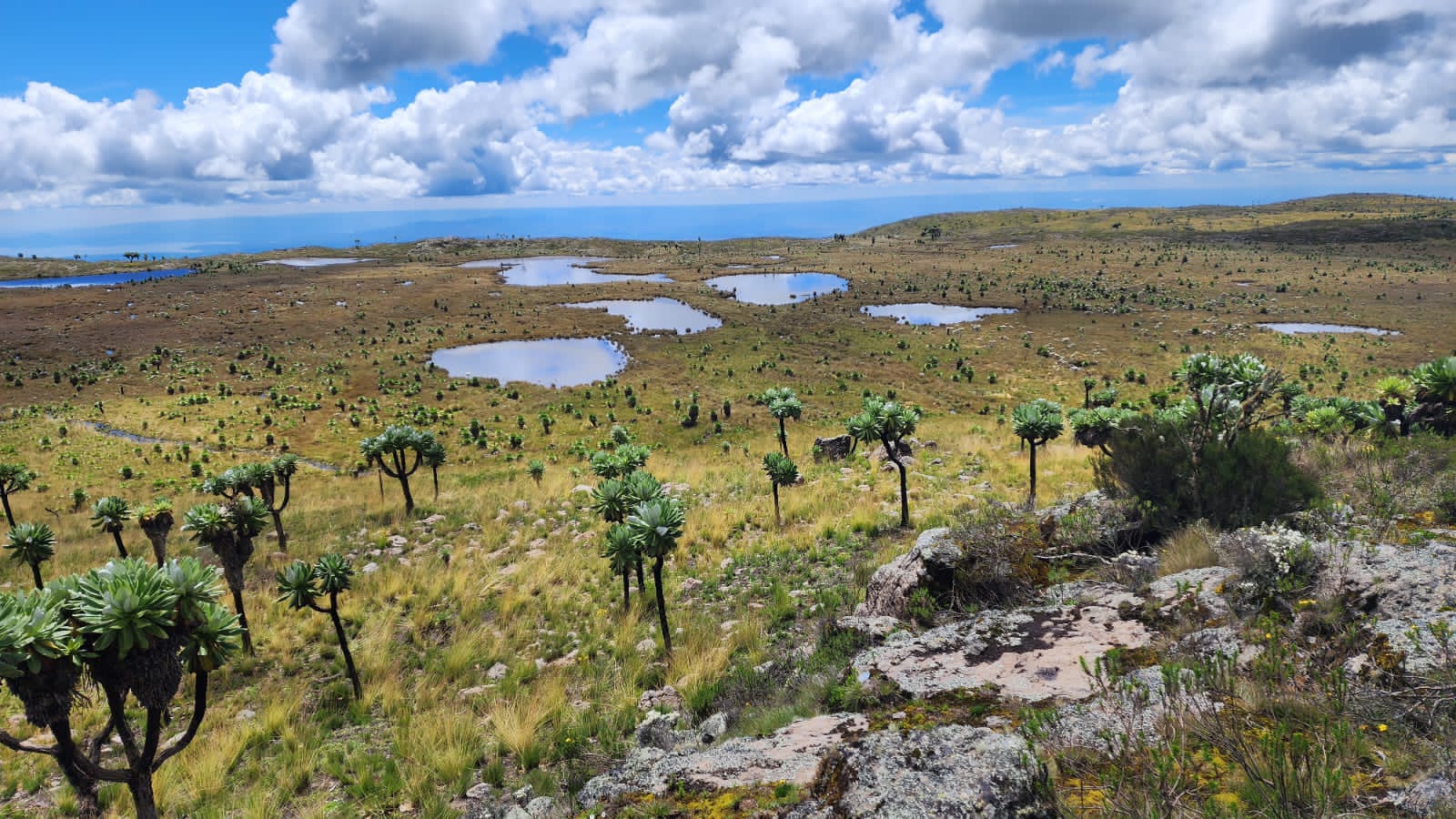 hiking trails in Aberdare with cross wild safaris