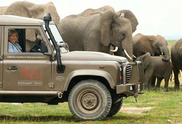 elephant conservation