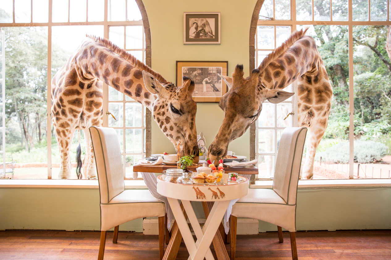 nairobi national park