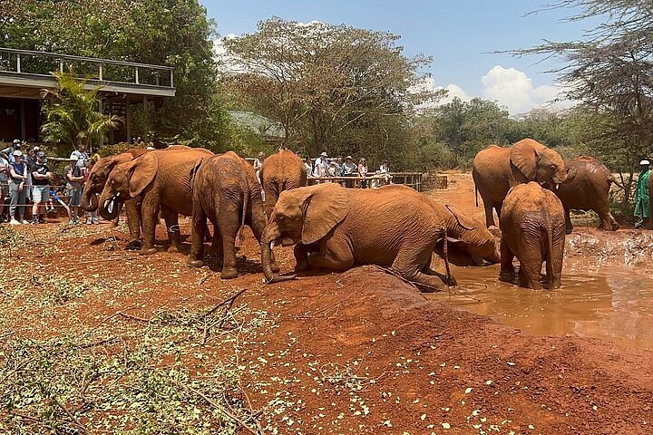 Nairobi National Park education center, kids wildlife learning Nairobi