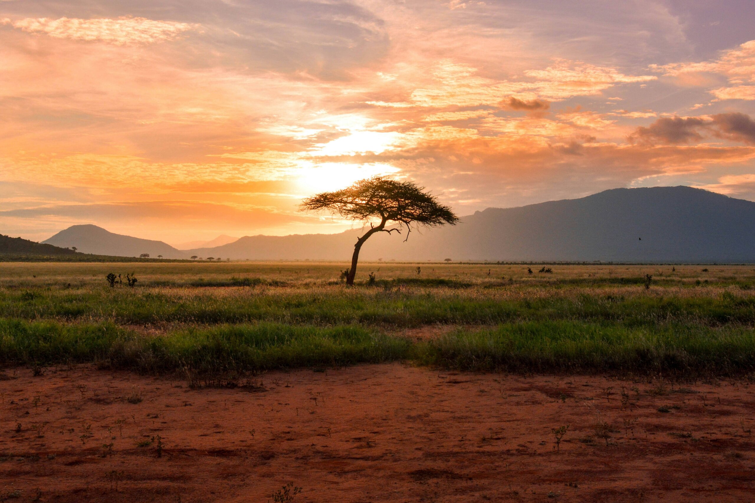 Chyulu hills seen from tsavo national park