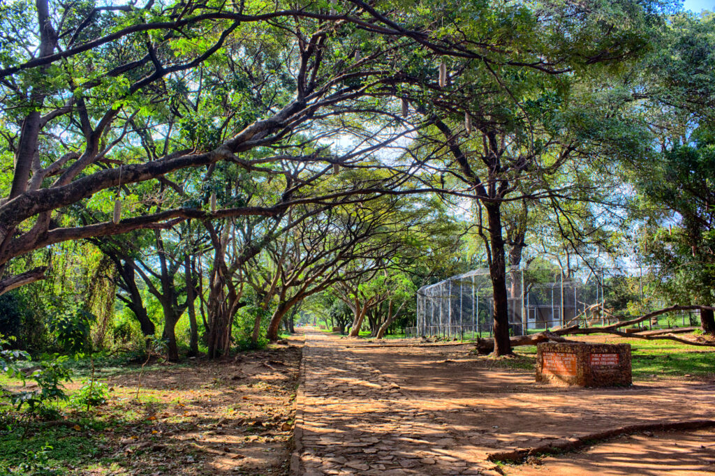 kisumu impala sanctuary