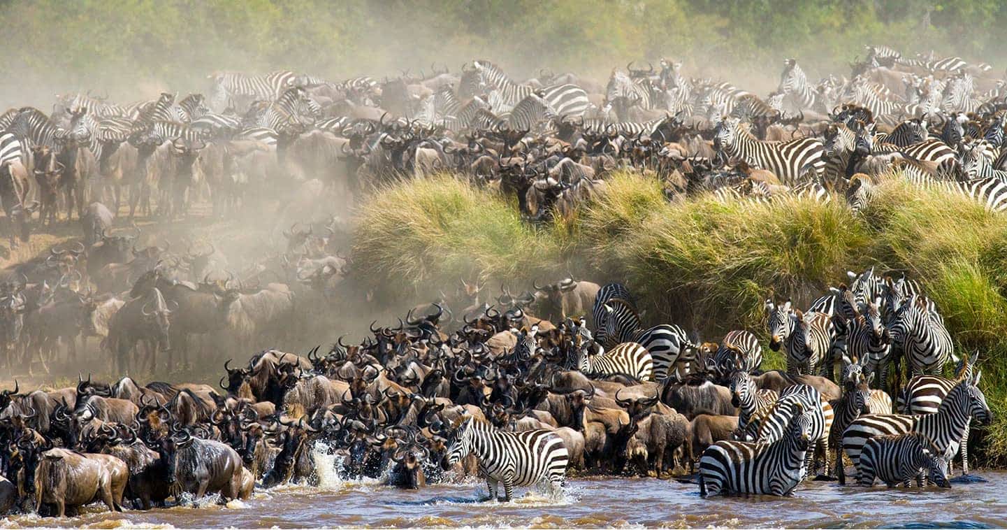 best time to visit Kenya to witness the great migration
