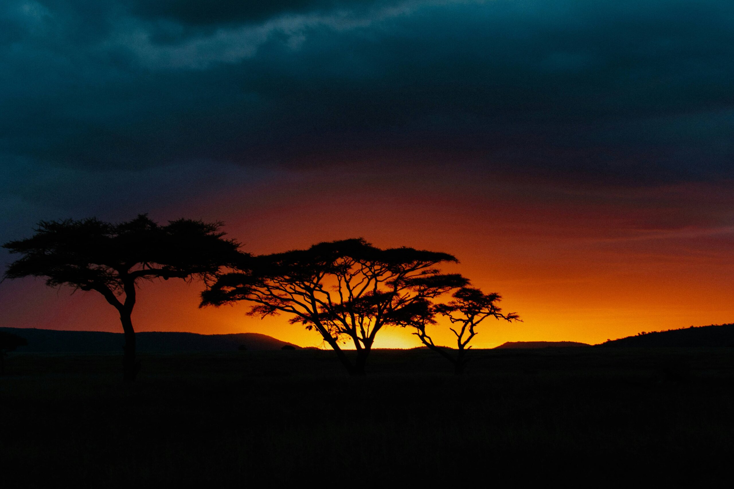 A serene and safe Kenya safari scene in the Maasai Mara at sunset - is kenya safari safe