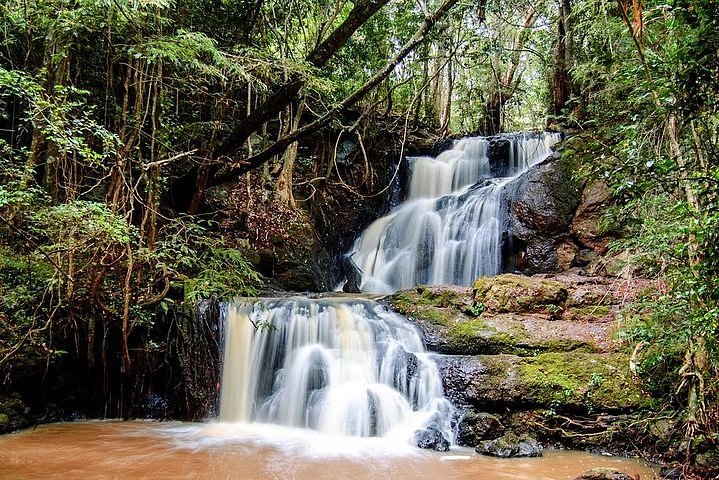 A scenic trail winding through Karura Forest, Nairobi, Kenya.