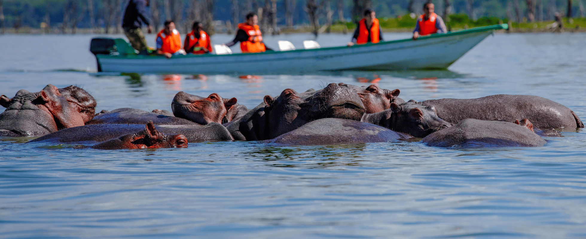 Kenya family safari with cross wild safaris at lake Nakuru 