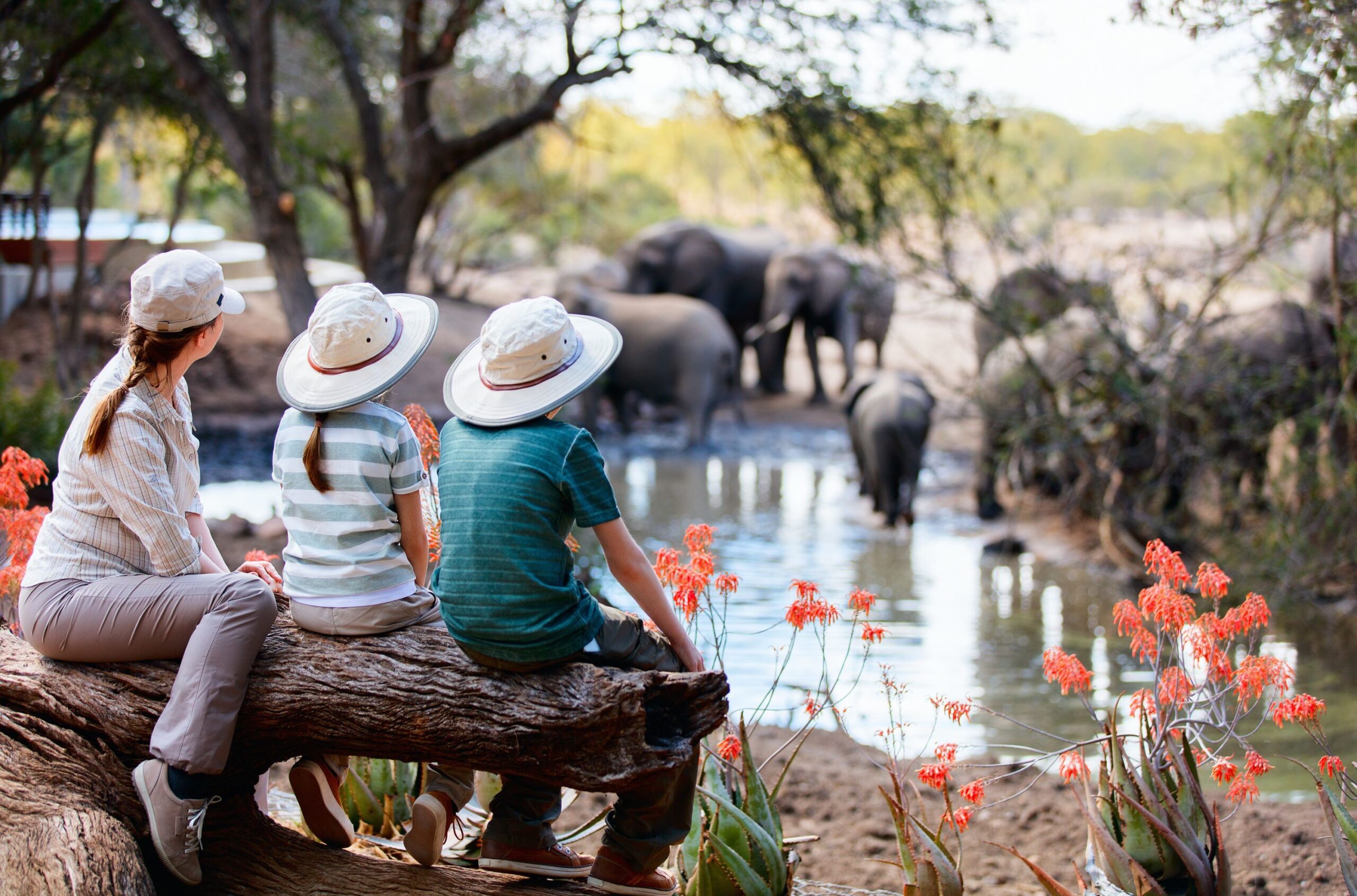Kenya-family-safari-with-cross-wild-