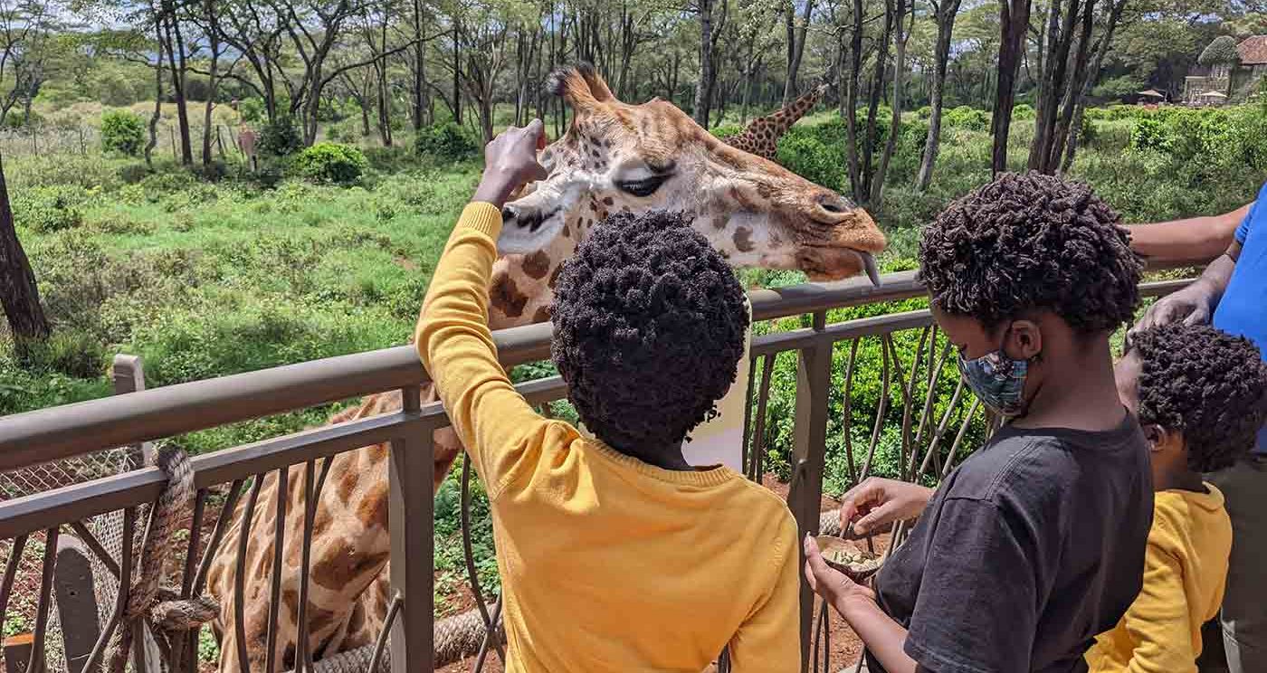 Kenya family safari with cross wild safaris at giraffe center 