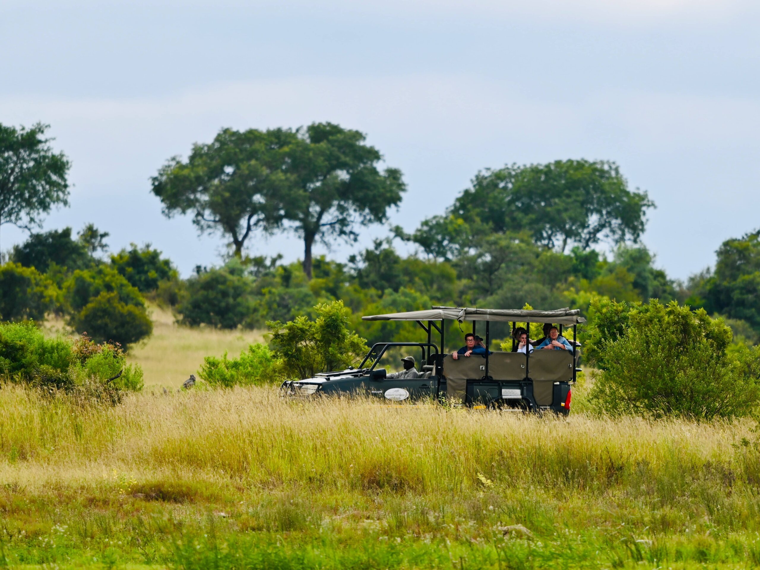 Happy family on a best family safari in Kenya game drive with Cross Wild Safaris
