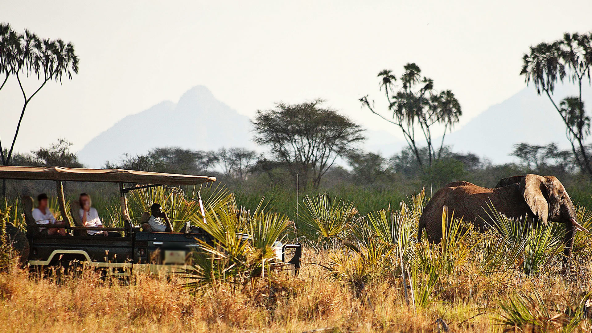Meru national park